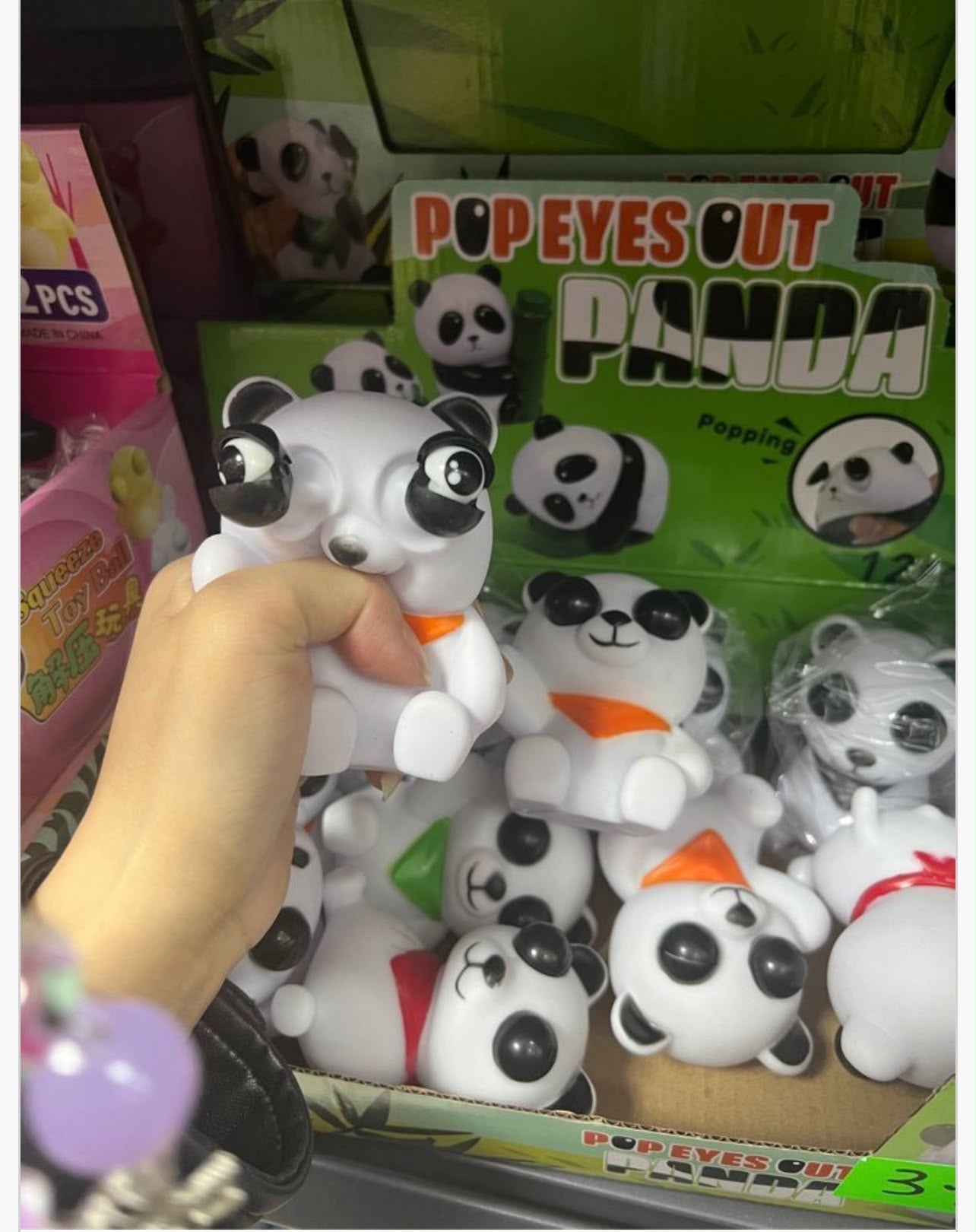 GNIOTKA PANDA