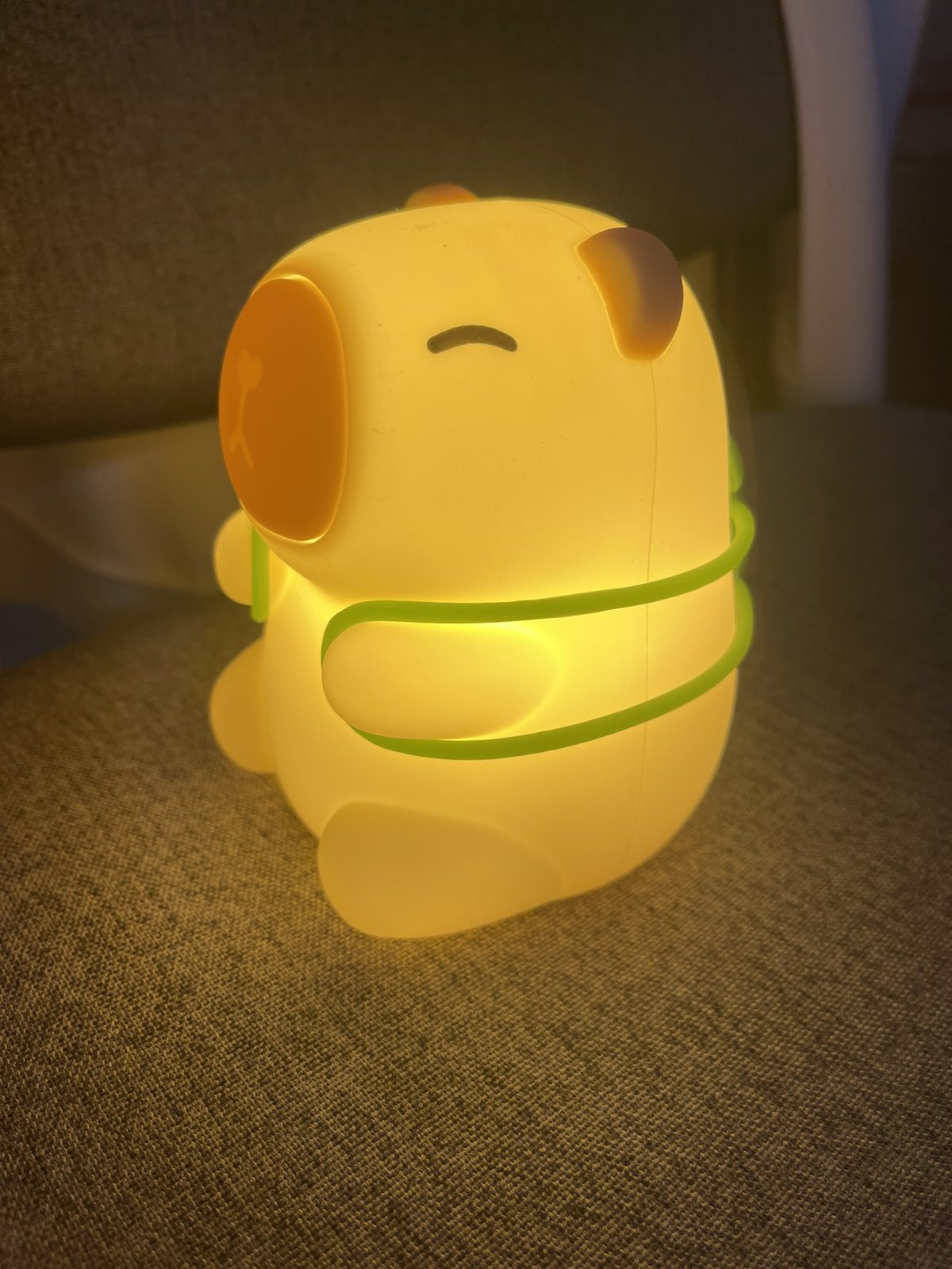 LAMPKA KAPIBARA
