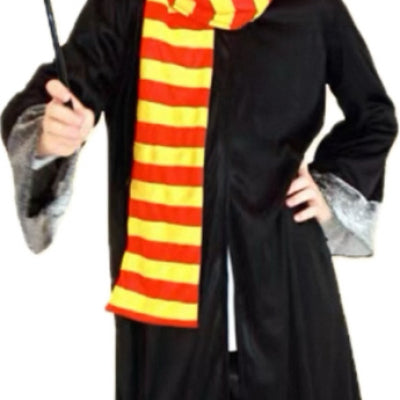 STRÓJ HARRY PORTER
